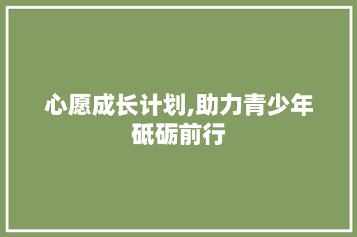 心愿成长计划,助力青少年砥砺前行