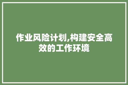 作业风险计划,构建安全高效的工作环境 成语汇编