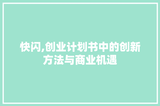 快闪,创业计划书中的创新方法与商业机遇