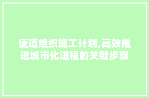 便道组织施工计划,高效推进城市化进程的关键步骤 近义词汇