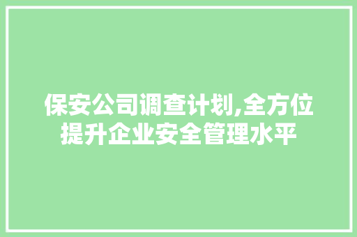保安公司调查计划,全方位提升企业安全管理水平