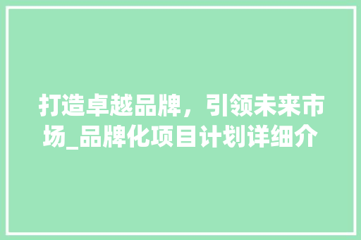 打造卓越品牌，引领未来市场_品牌化项目计划详细介绍