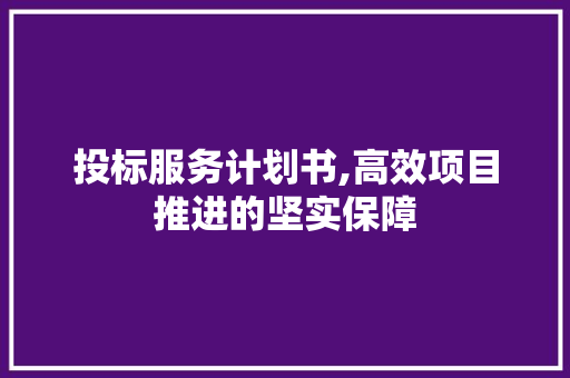 投标服务计划书,高效项目推进的坚实保障