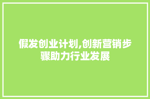 假发创业计划,创新营销步骤助力行业发展