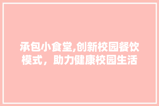 承包小食堂,创新校园餐饮模式，助力健康校园生活
