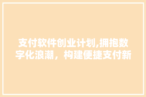 支付软件创业计划,拥抱数字化浪潮，构建便捷支付新生态