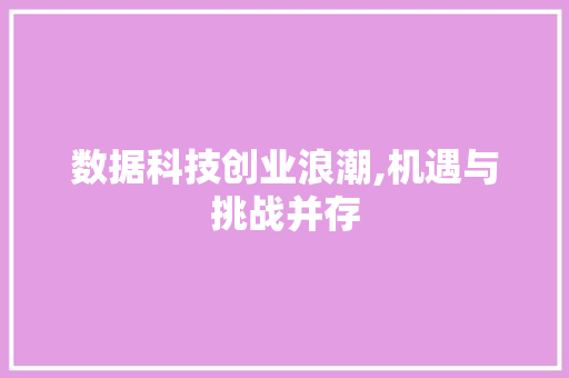 数据科技创业浪潮,机遇与挑战并存