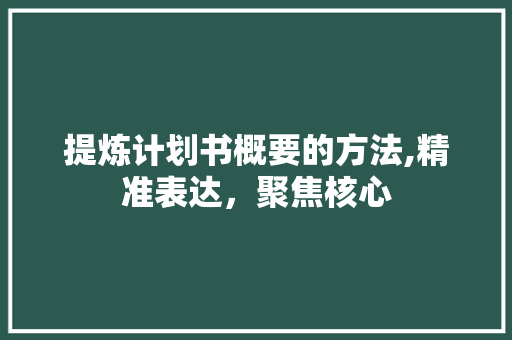 提炼计划书概要的方法,精准表达，聚焦核心 诗词佳句