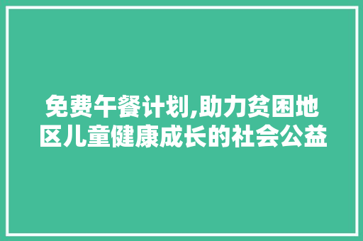 免费午餐计划,助力贫困地区儿童健康成长的社会公益行动