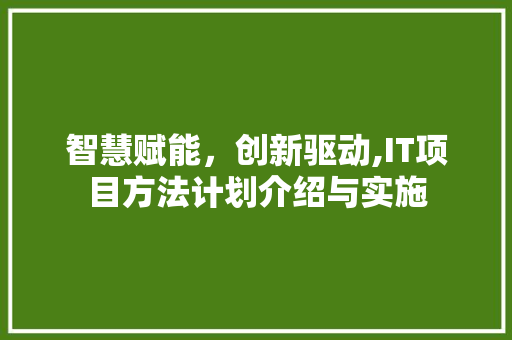 智慧赋能，创新驱动,IT项目方法计划介绍与实施