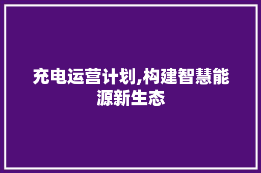 充电运营计划,构建智慧能源新生态