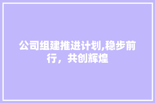 公司组建推进计划,稳步前行，共创辉煌