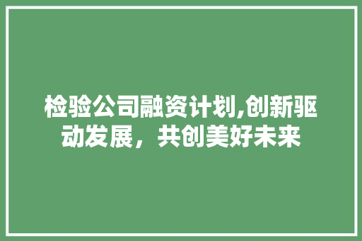 检验公司融资计划,创新驱动发展，共创美好未来