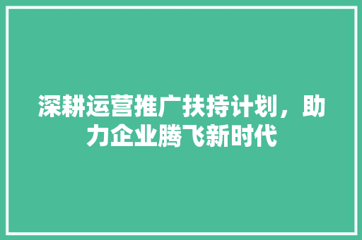 深耕运营推广扶持计划，助力企业腾飞新时代