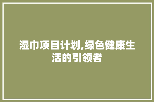 湿巾项目计划,绿色健康生活的引领者