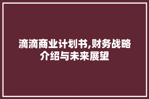 滴滴商业计划书,财务战略介绍与未来展望