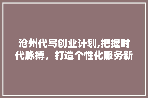 沧州代写创业计划,把握时代脉搏，打造个性化服务新典范
