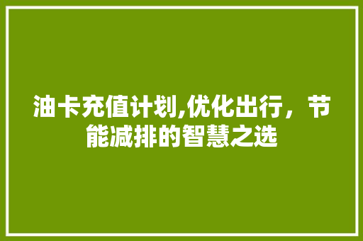 油卡充值计划,优化出行，节能减排的智慧之选