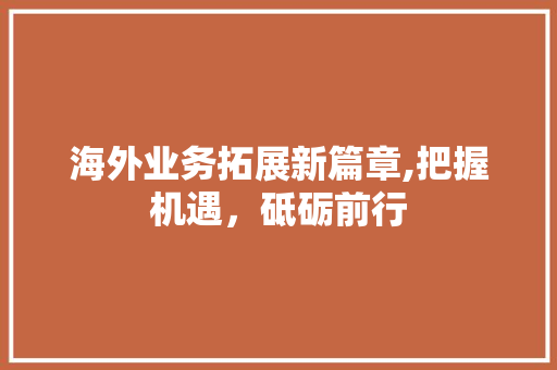海外业务拓展新篇章,把握机遇，砥砺前行