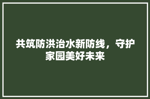 共筑防洪治水新防线，守护家园美好未来