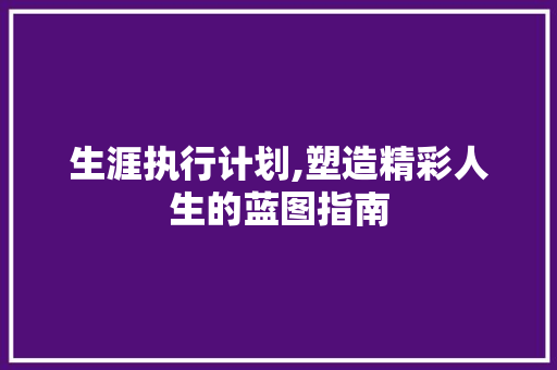 生涯执行计划,塑造精彩人生的蓝图指南