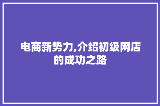 电商新势力,介绍初级网店的成功之路