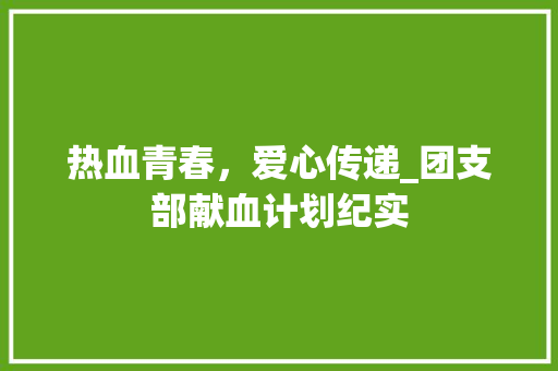 热血青春，爱心传递_团支部献血计划纪实