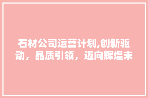 石材公司运营计划,创新驱动，品质引领，迈向辉煌未来