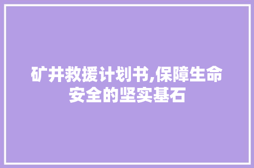 矿井救援计划书,保障生命安全的坚实基石