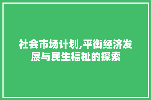 社会市场计划,平衡经济发展与民生福祉的探索
