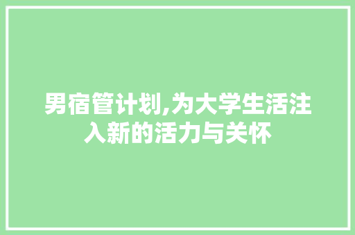 男宿管计划,为大学生活注入新的活力与关怀