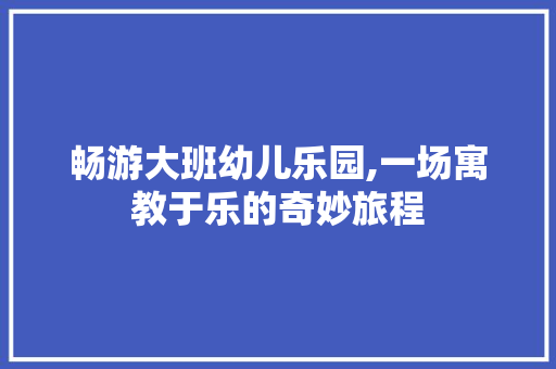 畅游大班幼儿乐园,一场寓教于乐的奇妙旅程