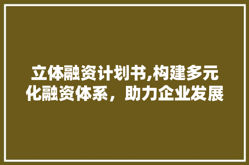 立体融资计划书,构建多元化融资体系，助力企业发展新篇章