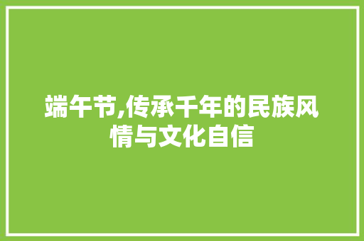 端午节,传承千年的民族风情与文化自信 短语