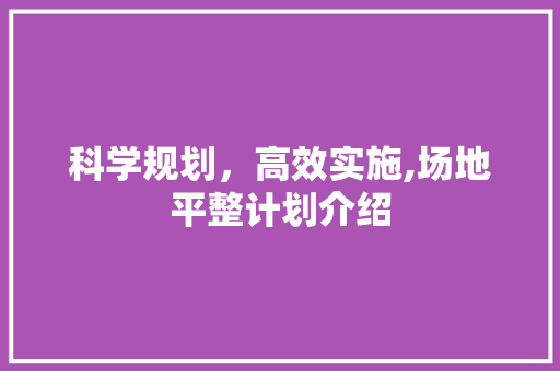 科学规划，高效实施,场地平整计划介绍