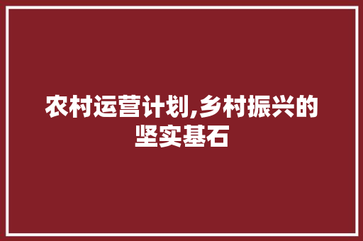 农村运营计划,乡村振兴的坚实基石