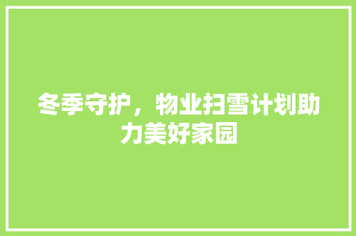 冬季守护，物业扫雪计划助力美好家园