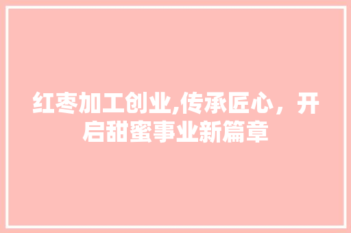 红枣加工创业,传承匠心，开启甜蜜事业新篇章