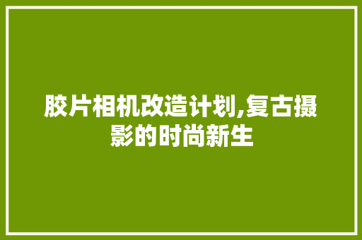 胶片相机改造计划,复古摄影的时尚新生