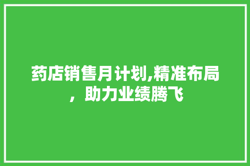 药店销售月计划,精准布局，助力业绩腾飞