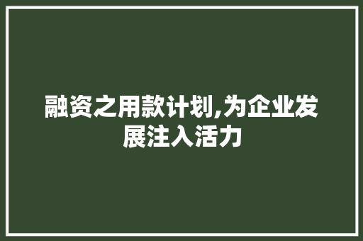 融资之用款计划,为企业发展注入活力