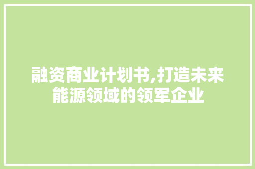 融资商业计划书,打造未来能源领域的领军企业