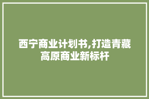 西宁商业计划书,打造青藏高原商业新标杆
