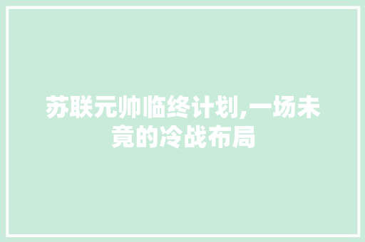 苏联元帅临终计划,一场未竟的冷战布局
