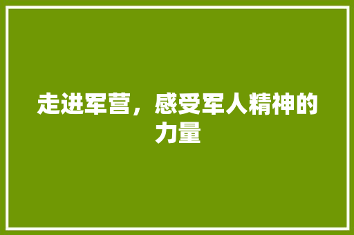 走进军营，感受军人精神的力量