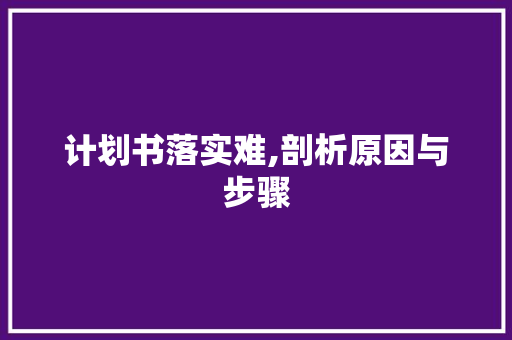 计划书落实难,剖析原因与步骤