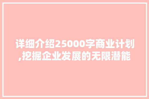 详细介绍25000字商业计划,挖掘企业发展的无限潜能