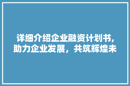 详细介绍企业融资计划书,助力企业发展，共筑辉煌未来