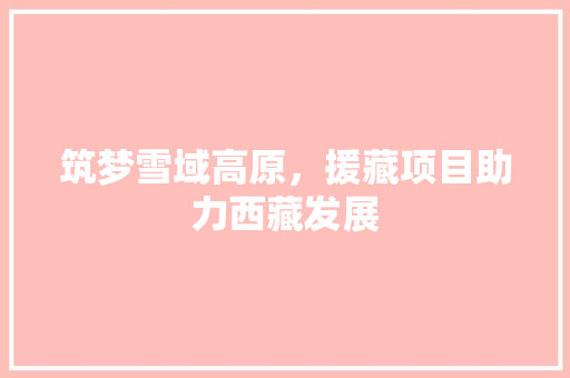 筑梦雪域高原，援藏项目助力西藏发展