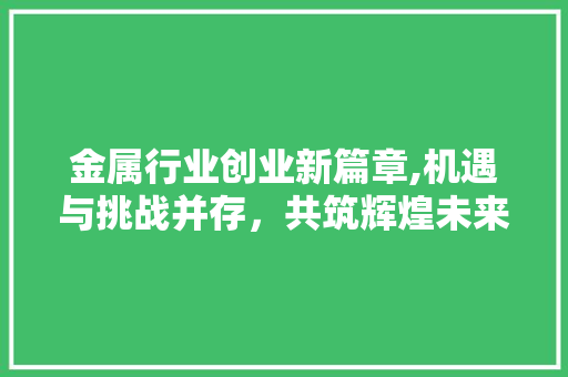 金属行业创业新篇章,机遇与挑战并存，共筑辉煌未来